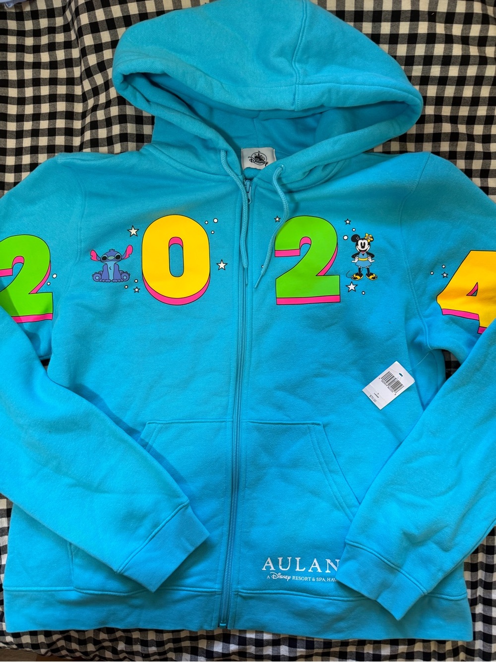 Collectible Hawai’i Disney 2024 Zip-Up Hoodie Jacket